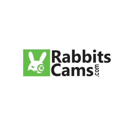 RabbitsCams logo